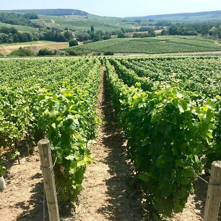 La Bulle De Champagne Apartman Épernay Kültér fotó
