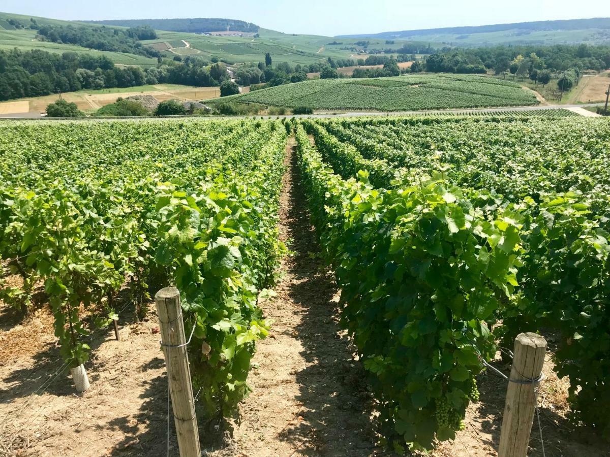 La Bulle De Champagne Apartman Épernay Kültér fotó